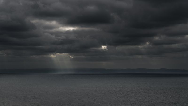 Rays