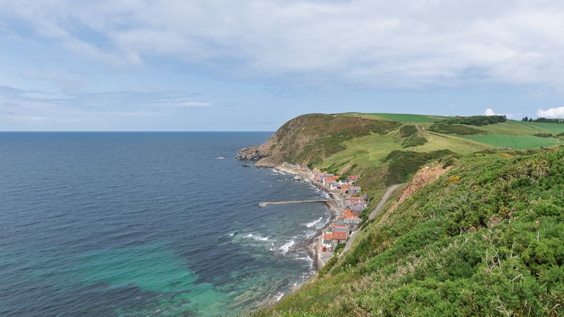 Crovie