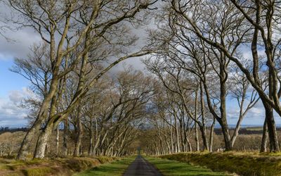Avenue