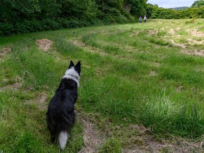 21st - Shepherding