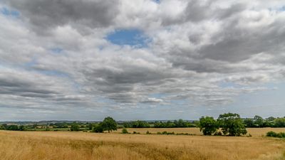 g13/83/775383/3/174809435.d62f1f8f.JPEG