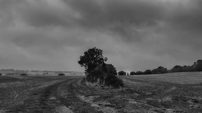 22nd - Dreich