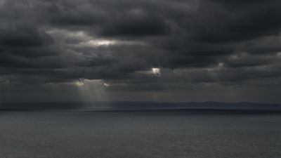 Rays