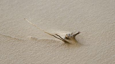 27th - Caught In The Sand