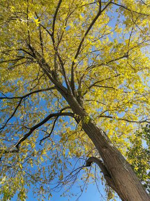 17th - Autumn Colours