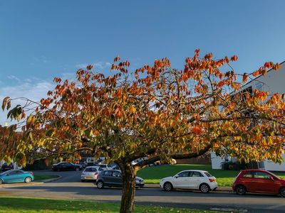 26th - More Autumn Colours