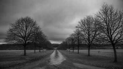 9th - Bleak Avenue