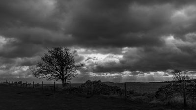 17th - Windy