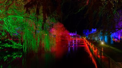 19th - Colourful