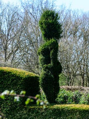 Busty Topiary!