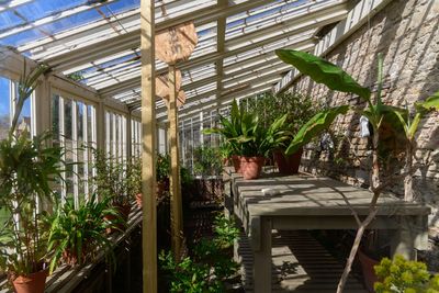 Greenhouse