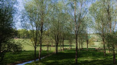 A Photo A Week - 2025