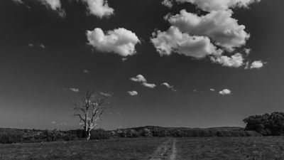 A Photo A Week - 2025