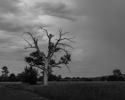 A Photo A Week - 2025