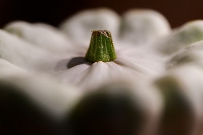 A Photo A Week - 2025