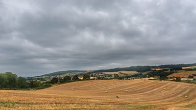 A Photo A Week - 2025