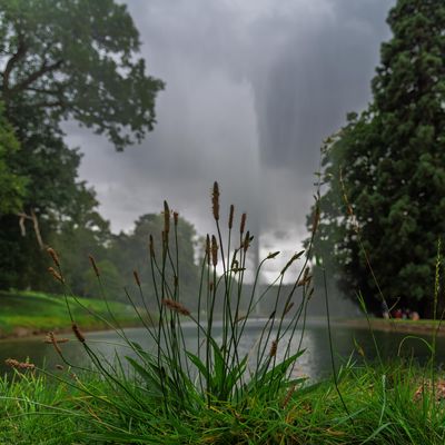 Fountain