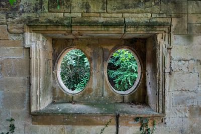 What's Through The Round Windows?