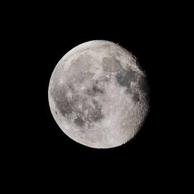 A Photo A Week - 2025