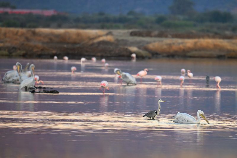 Saltpans scene September 2024