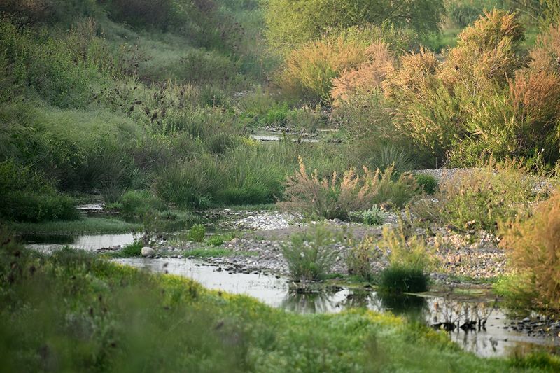 Tsiknias river Kalloni Lesvos
