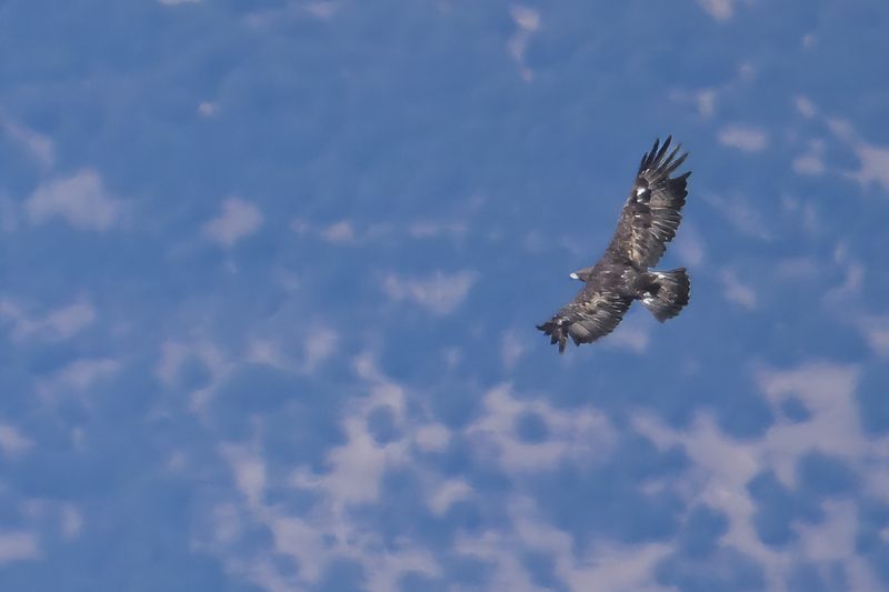 Trip Lesvos Autumn 2025