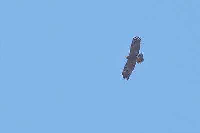 g13/83/944883/3/137586430.42da7409.JPEG