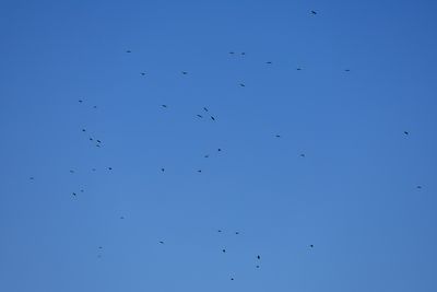 g13/83/944883/3/174803100.e3167932.JPEG