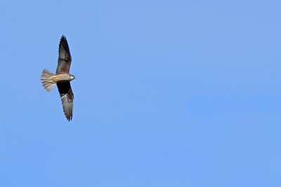 g13/83/944883/3/174828296.f5f85b27.JPEG