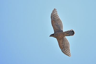 g13/83/944883/3/174968395.6e08a727.JPEG