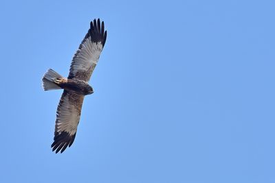g13/83/944883/3/174974561.5e467d35.JPEG