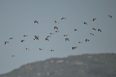 g13/83/944883/3/175473926.d748b6f0.JPEG