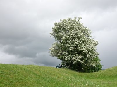 g13/84/1426684/3/173720788.8130f475.JPEG