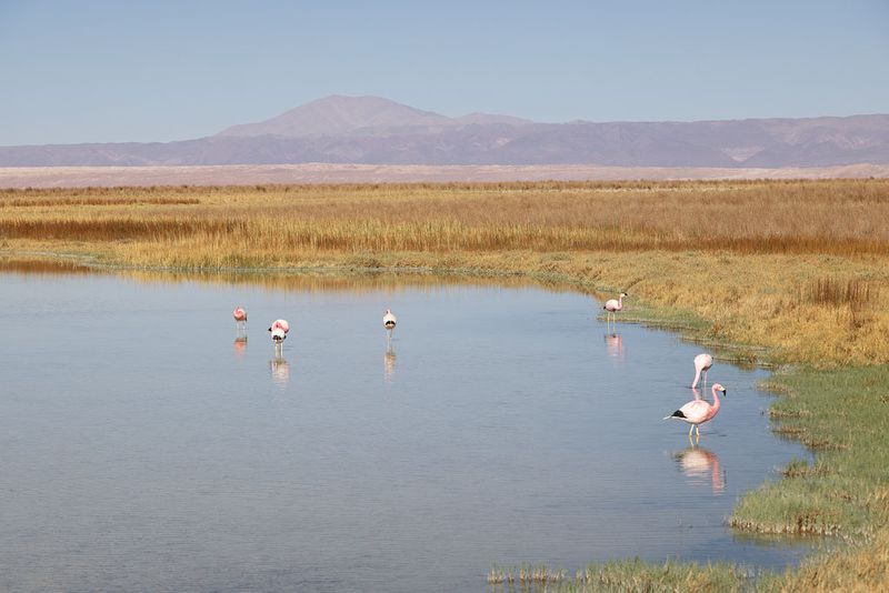 San Pedro de Atacama