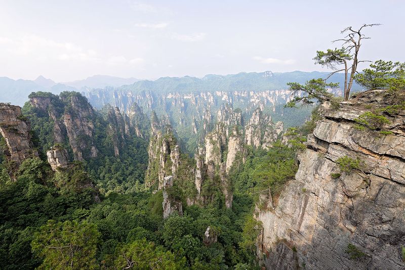 Zhangjiajie NP (Avatar Mountains) 
