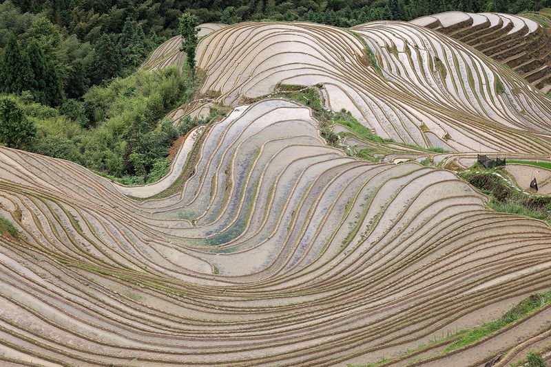 LongSheng Rice Terraces