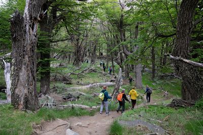 El Chaltn -Trekking