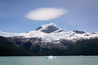 Glaciar spegazini