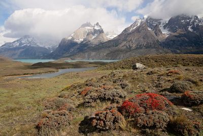 PN Torres del Paine