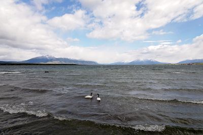 Puerto Natales