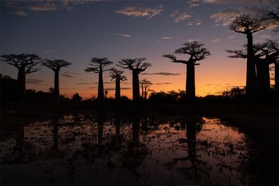 Madagascar Jul.2023