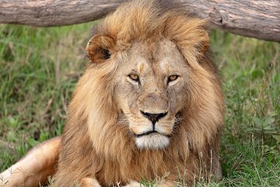 Kenya & Tanzania oct. 2017