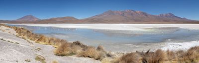 Bolivian Altiplano