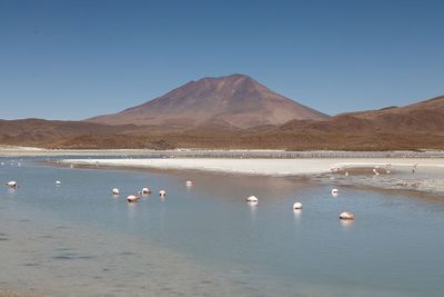 Bolivian Altiplano