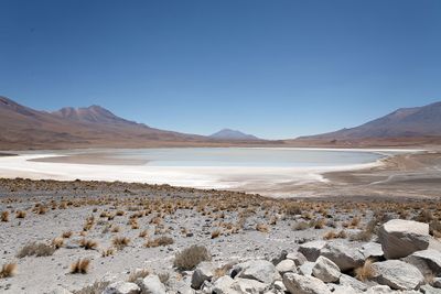 Bolivian Altiplano