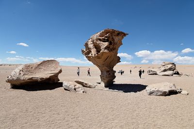 Bolivian Altiplano