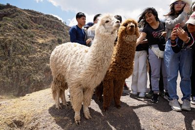 Pisac