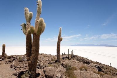 Uyuni