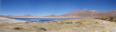 Bolivian Altiplano