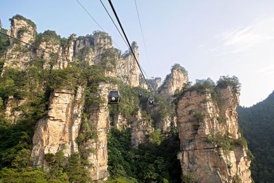 IMG_2514.jpg
